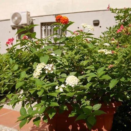 House With Garden And Parking Space In Mergellina Νάπολη Εξωτερικό φωτογραφία